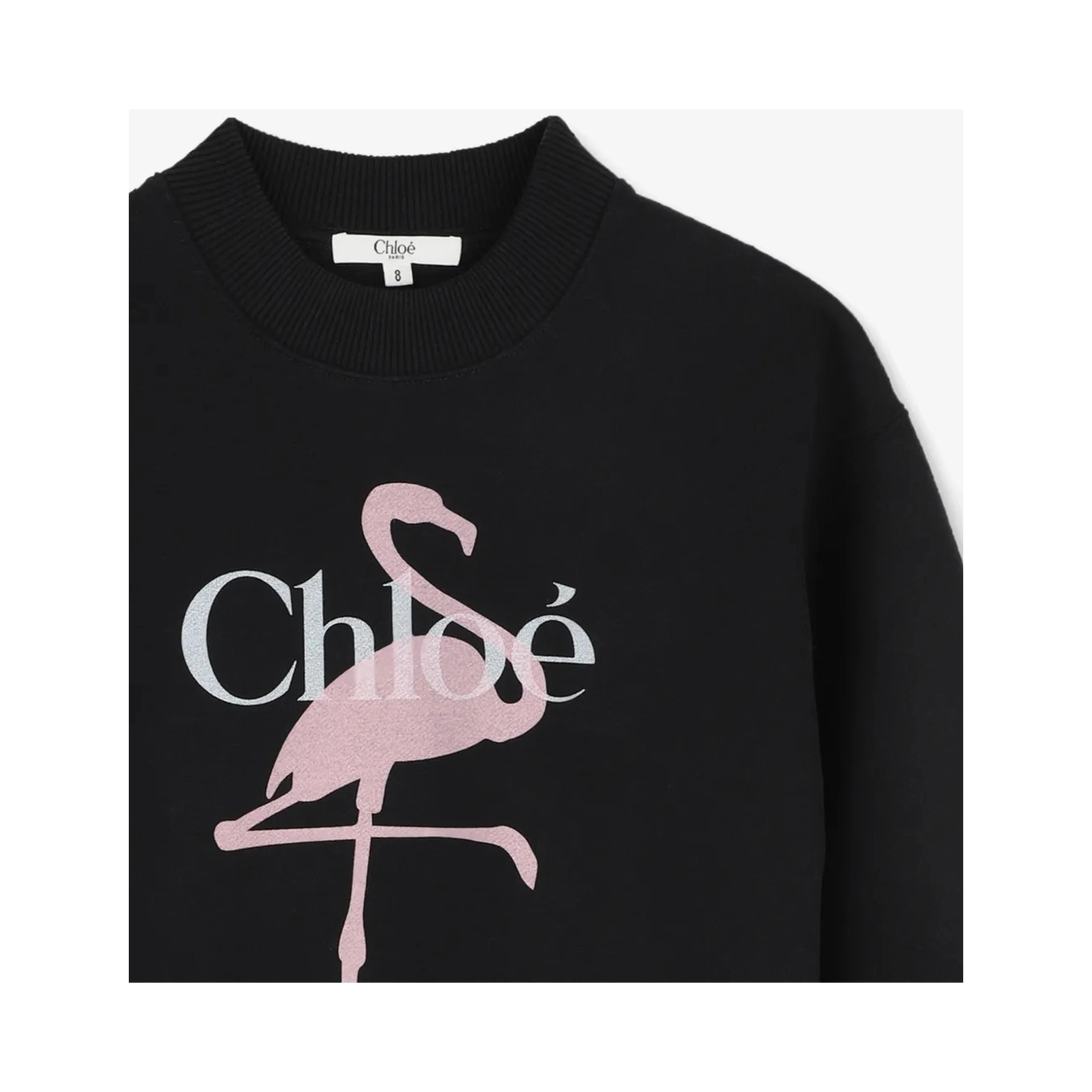 Chloè Sweaters