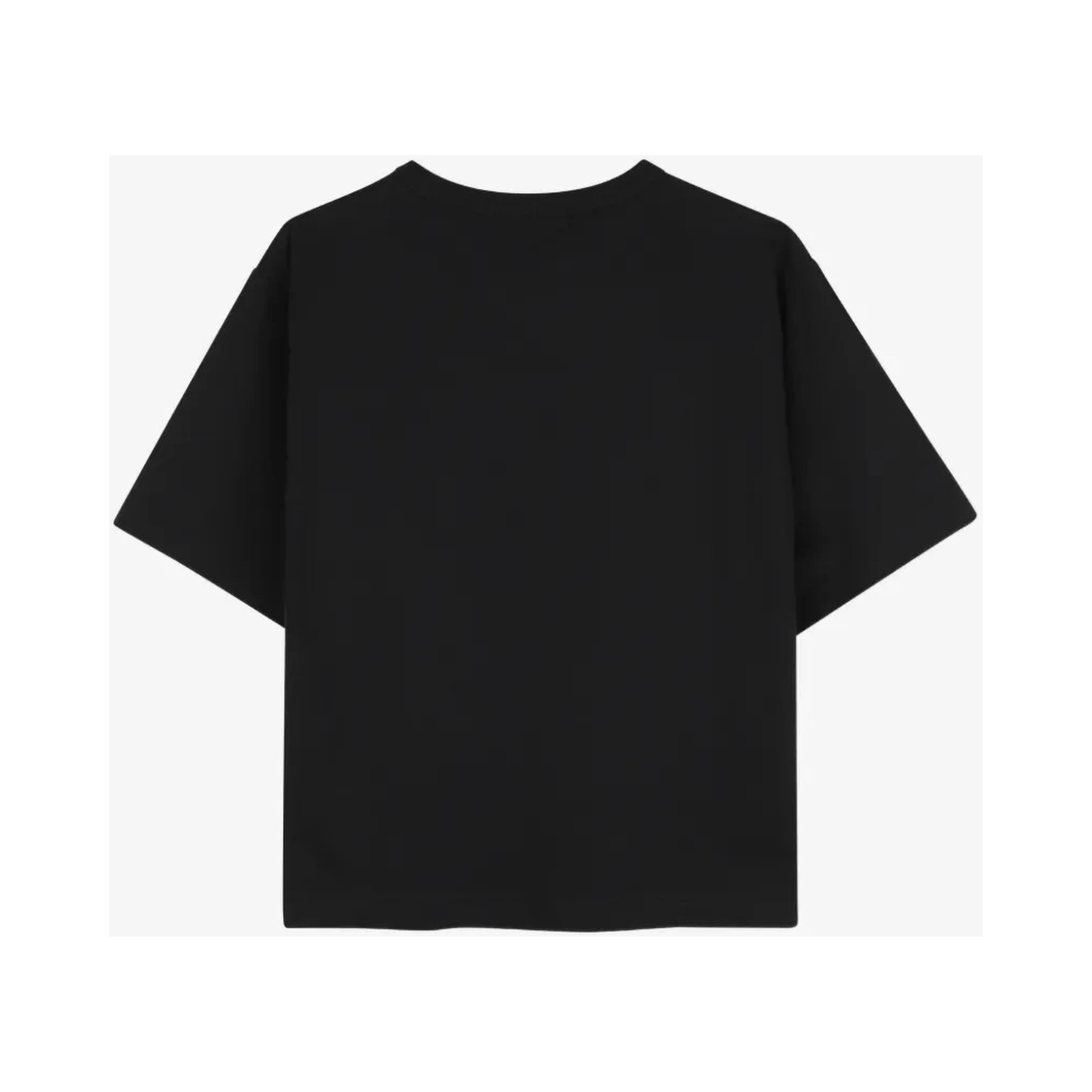 Lanvin T-shirts and Polos
