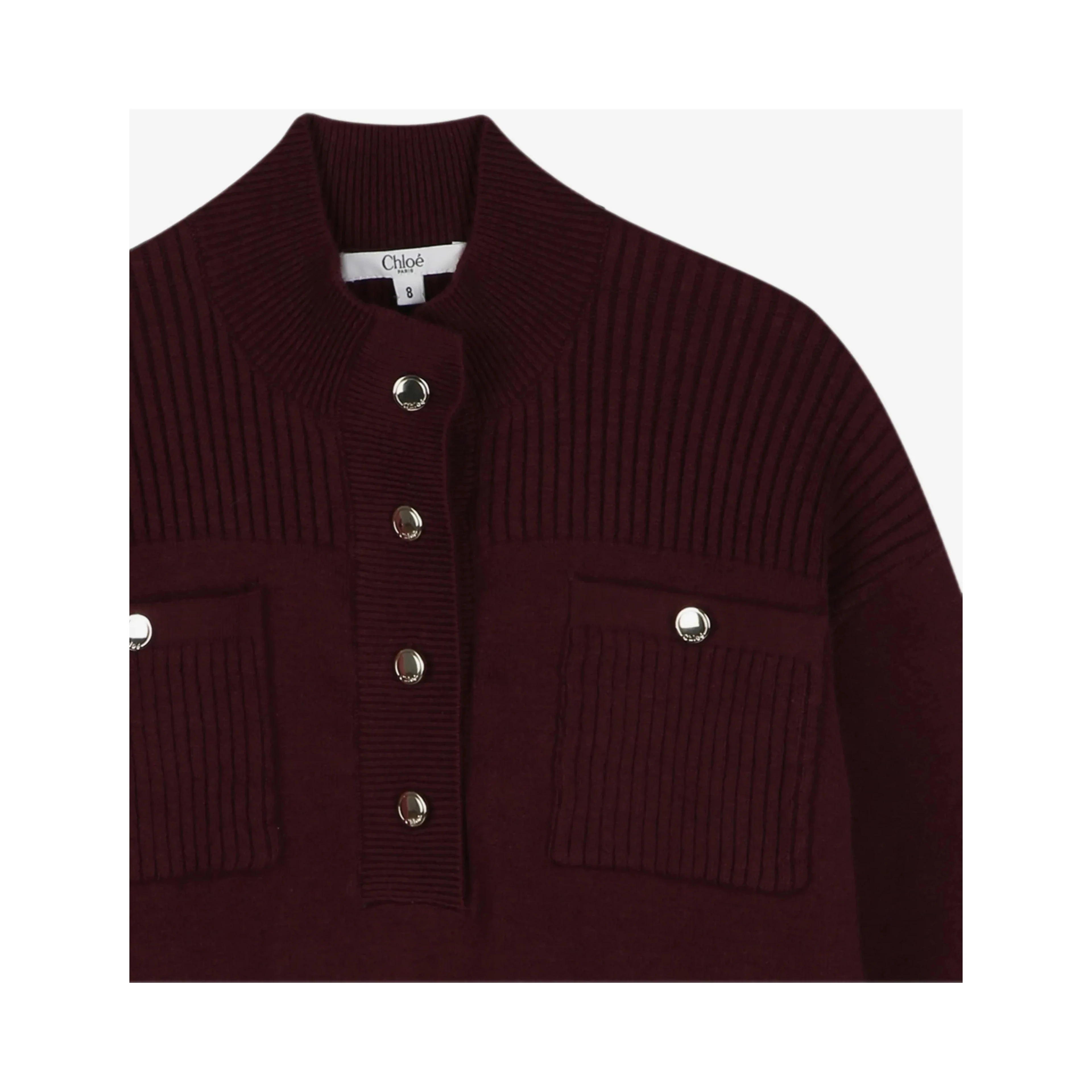 Chloè Sweaters