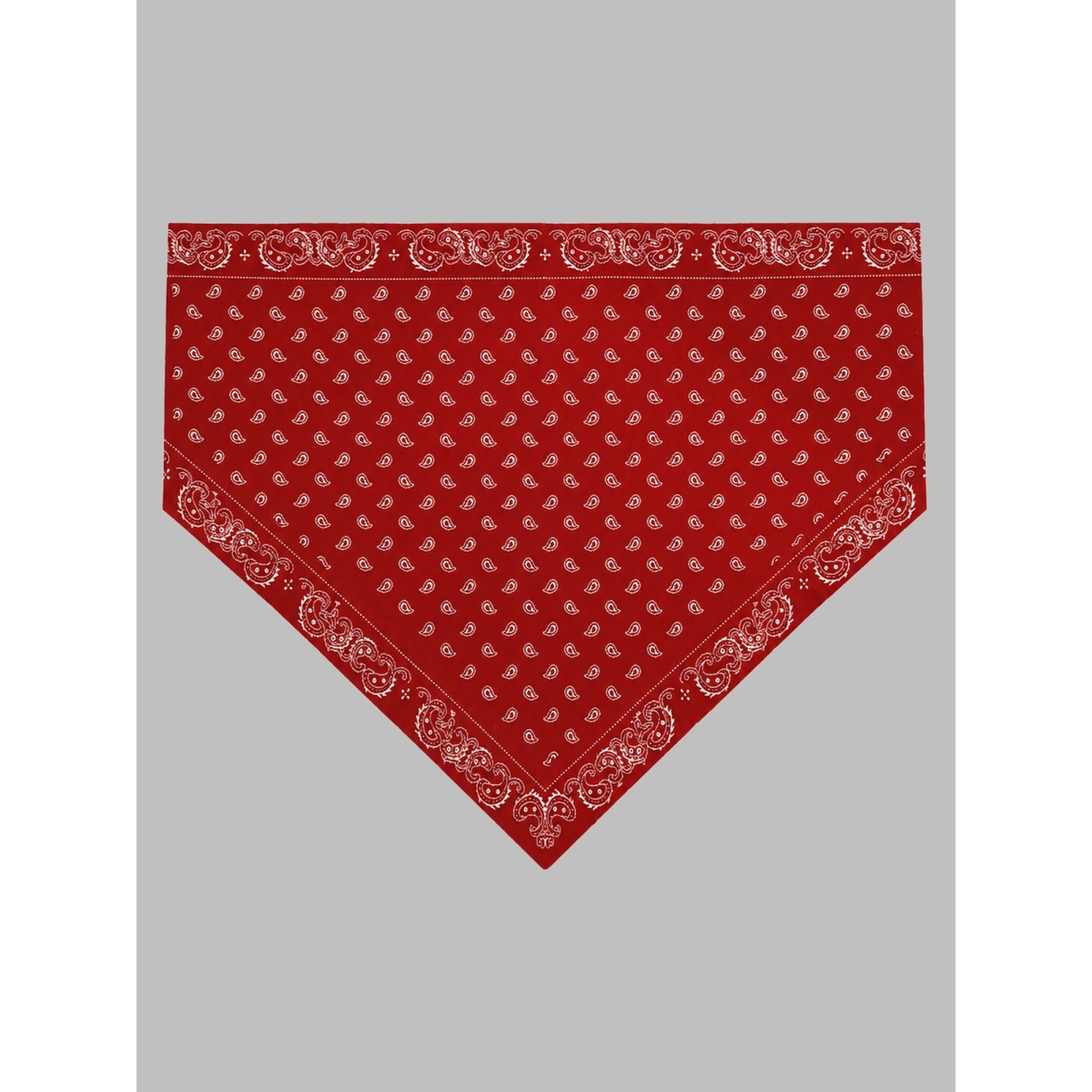 sciarpa "the wild rag"