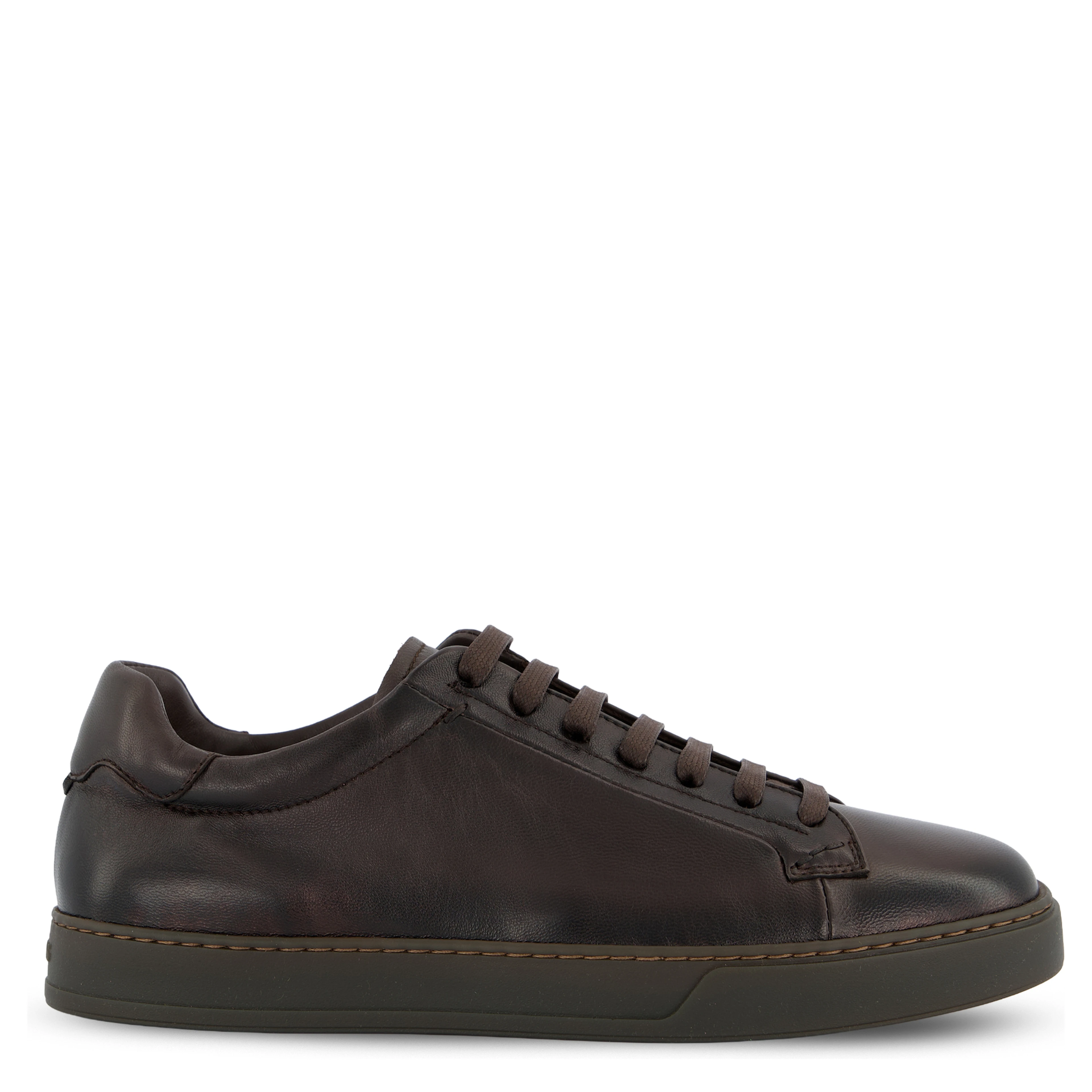 Doucal's Sneakers