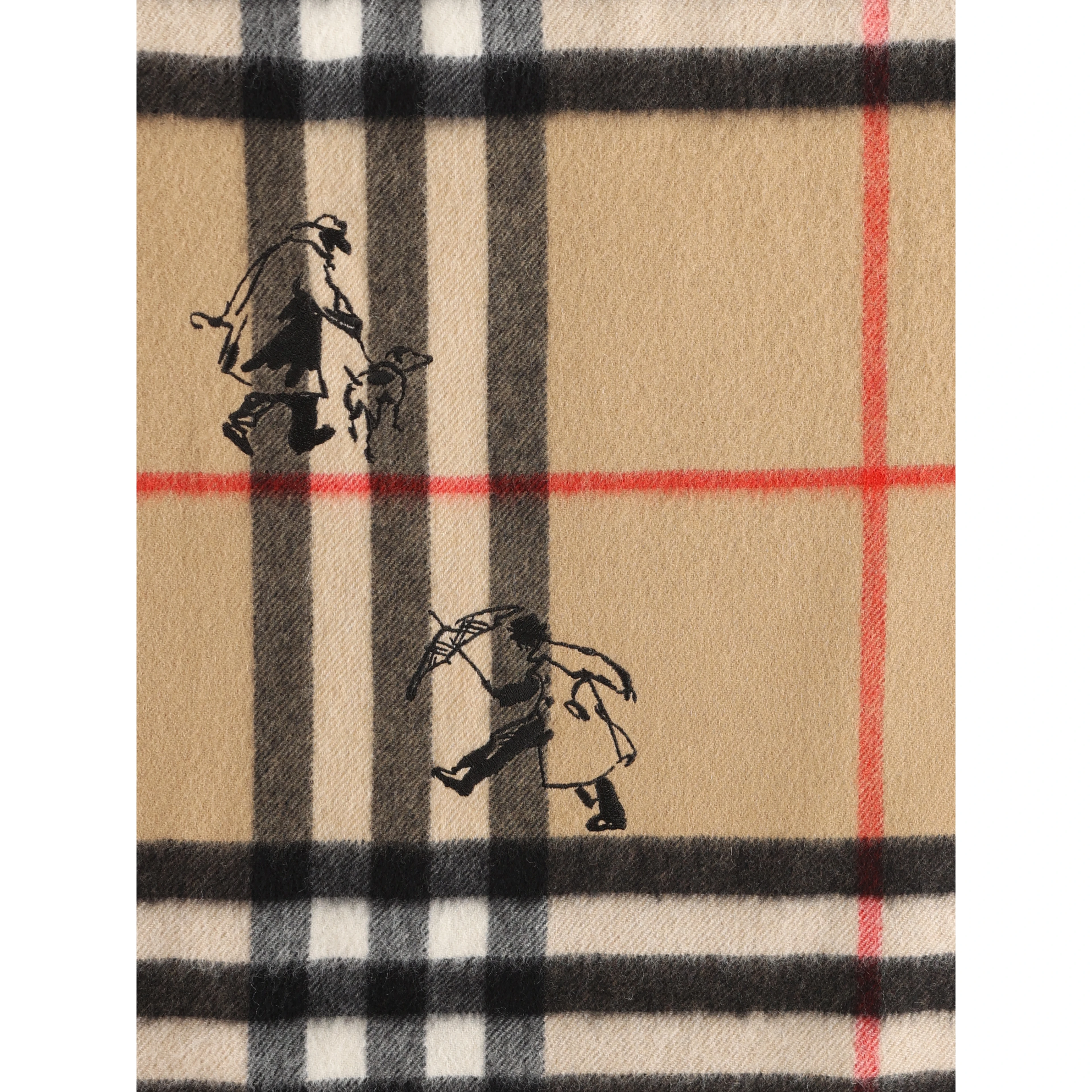 Burberry Scarfs