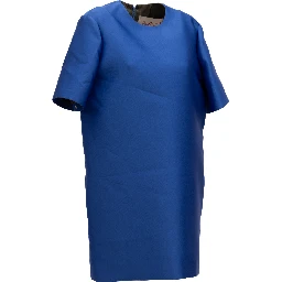 Royal Blue Elegant Dress