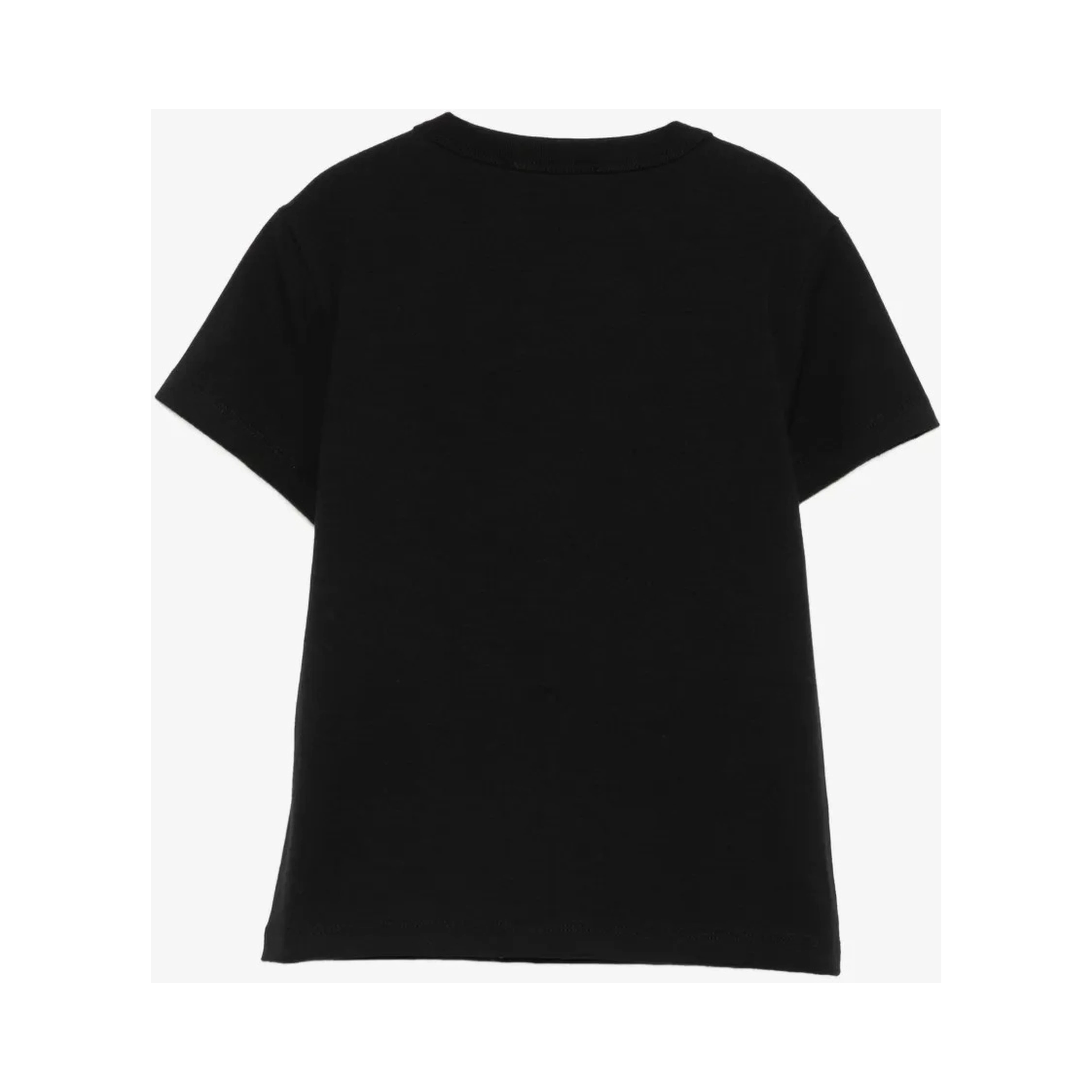 Emilio Pucci T-shirts and Polos