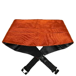 Orange 100% Silk Belt Waist Cummerbund
