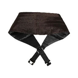 Dark Brown 100% Silk Belt Waist Cummerbund