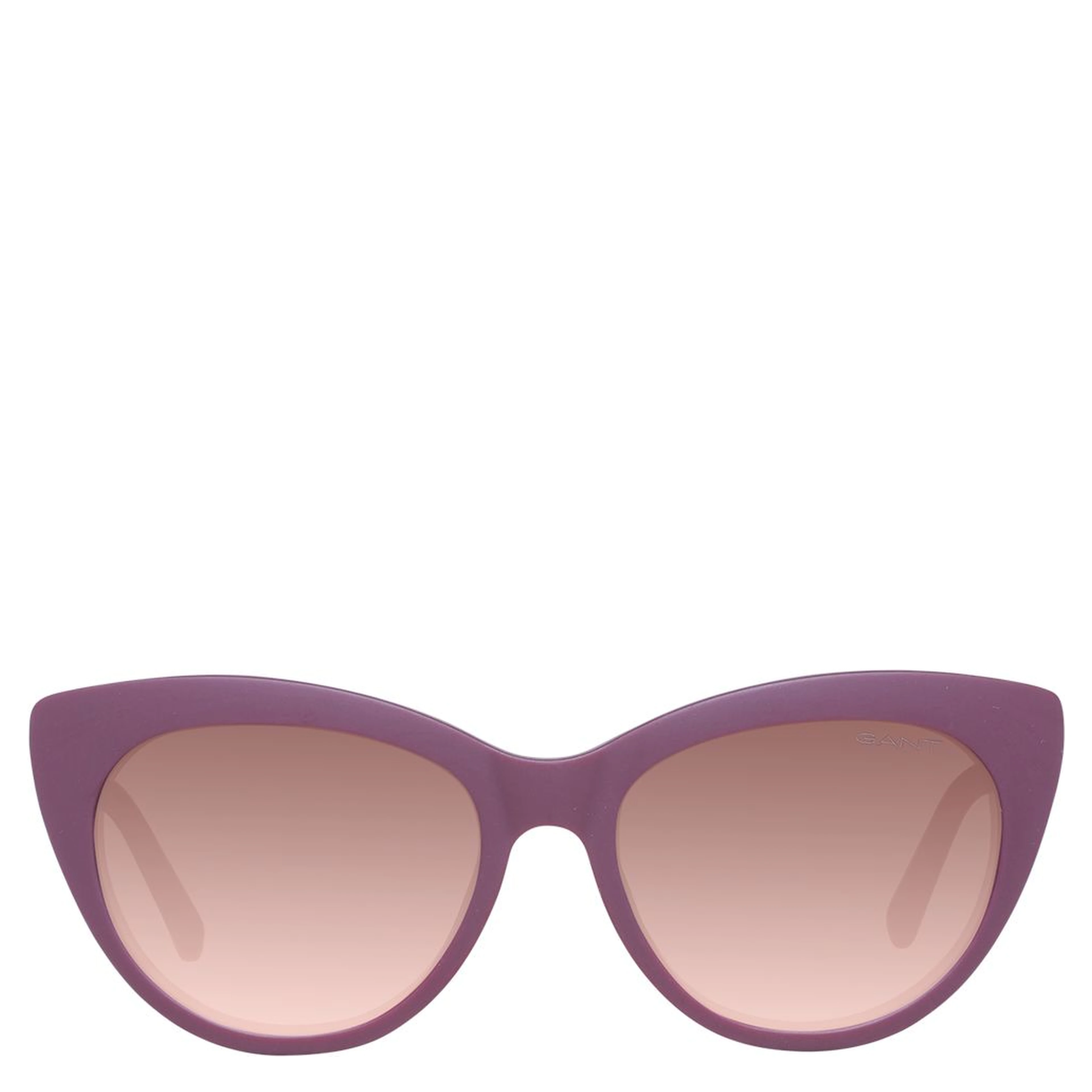 Purple Plastic Sunglasses