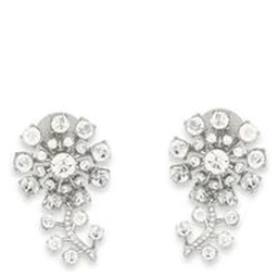 Silver Brass Earrings