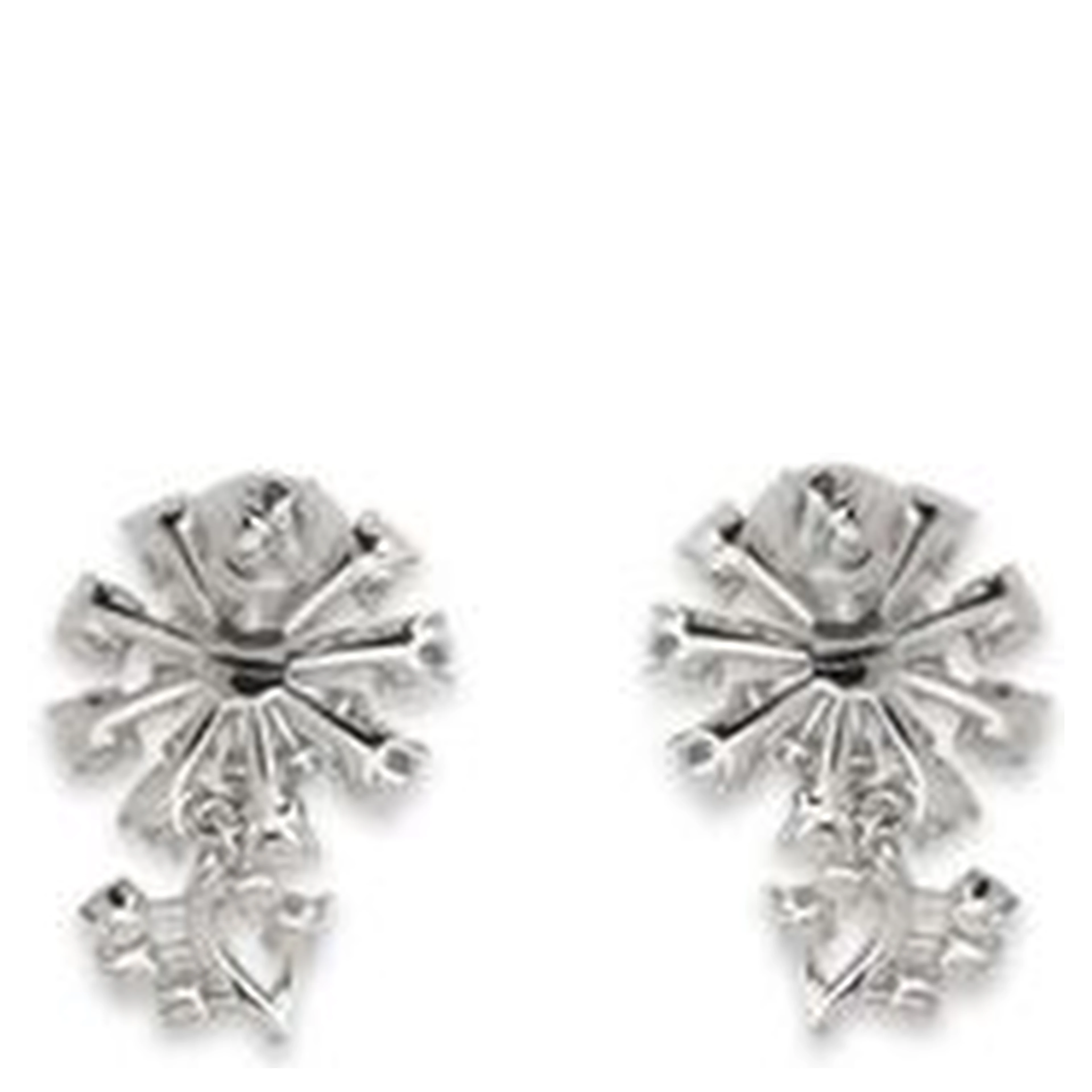 Silver Brass Earrings