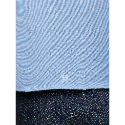Blue Cotton Sweatshirt
