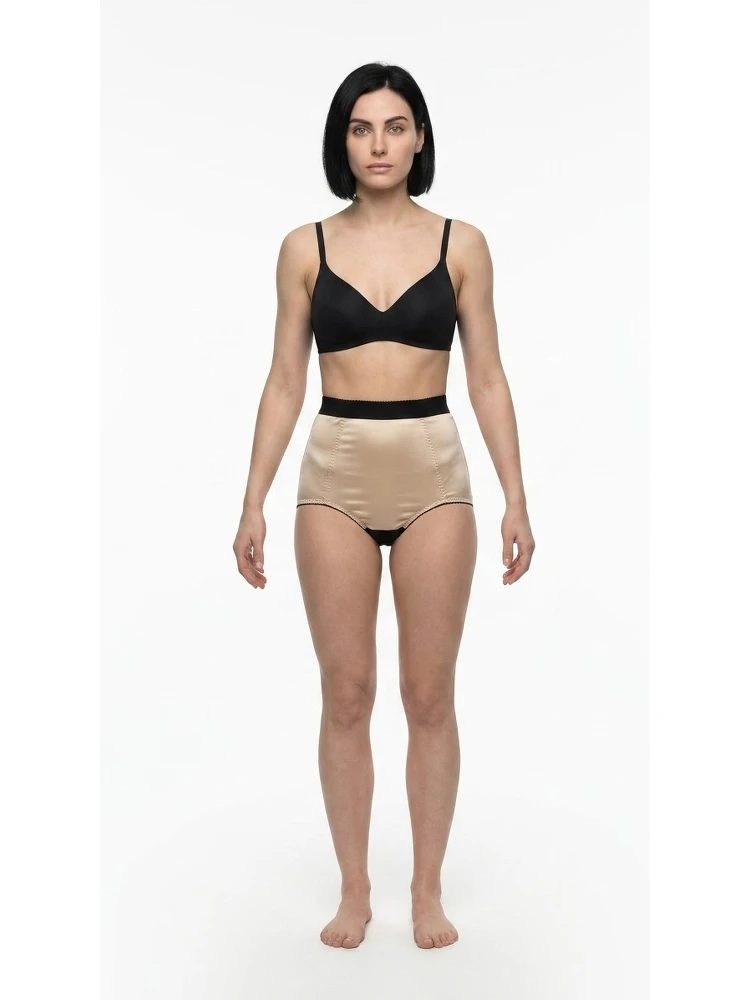 Beige Silk Briefs
