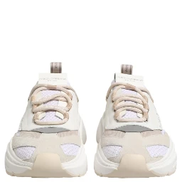 Multicolor Daymaster Low Top Sneakers Shoes
