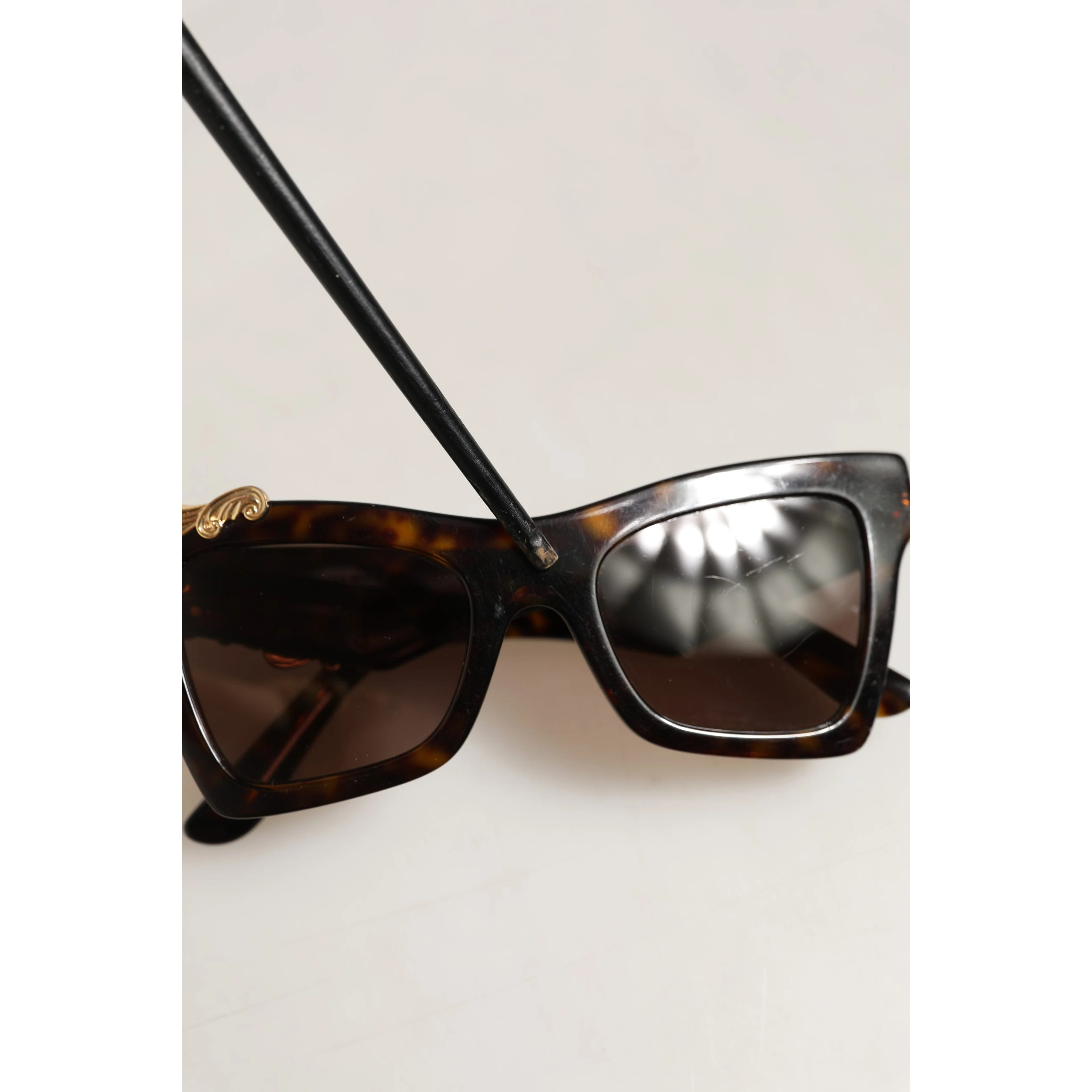 Brown DG4434 Accent Havana Acetate Frame Sunglasses