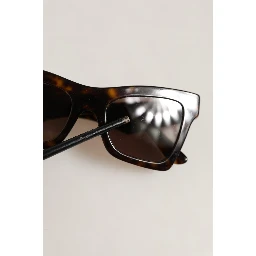 Brown DG4434 Accent Havana Acetate Frame Sunglasses