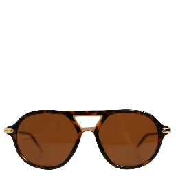 Brown DG4343F Havana Tortoise Women Eyewear Sunglasses