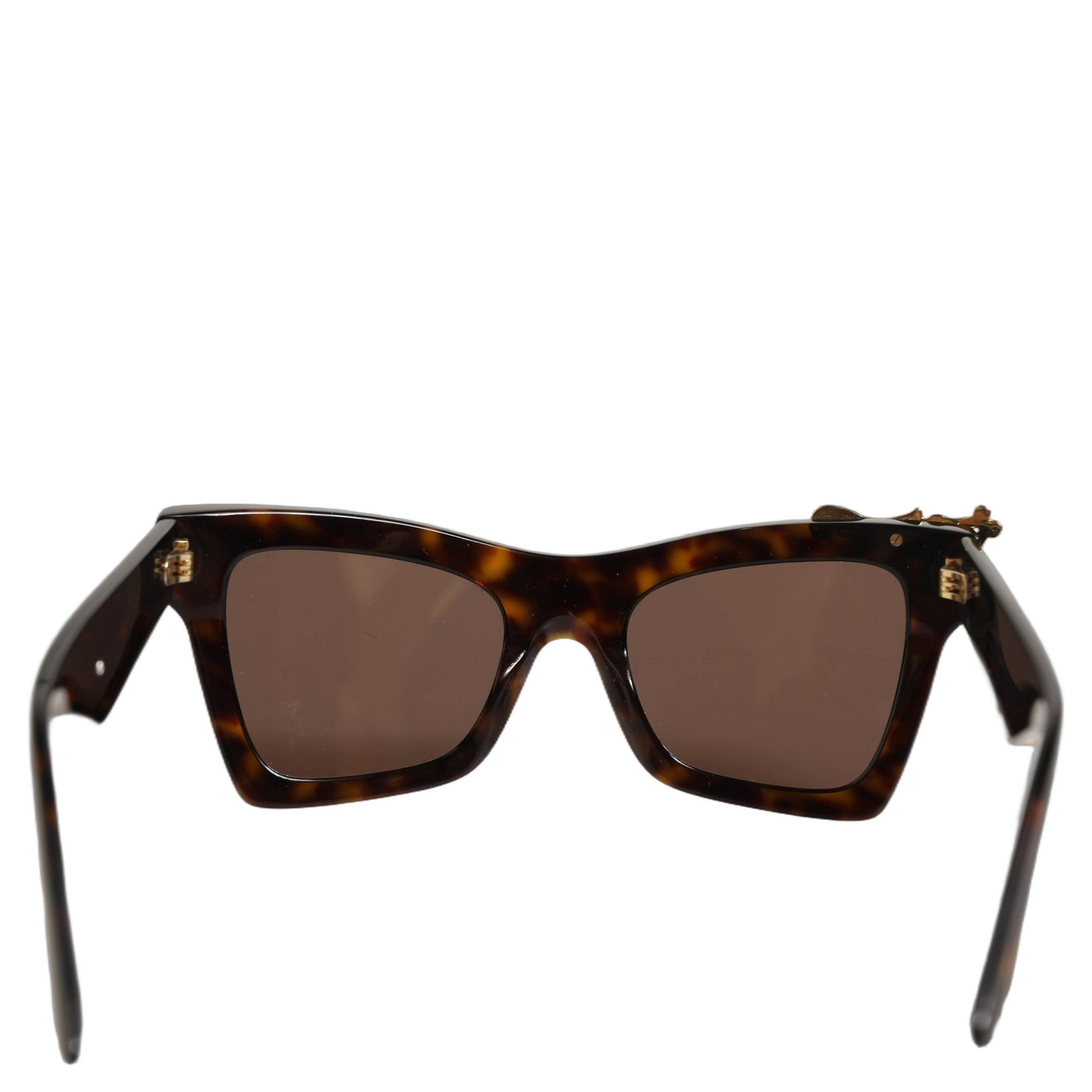 Brown DG4434 Accent Havana Acetate Frame Sunglasses