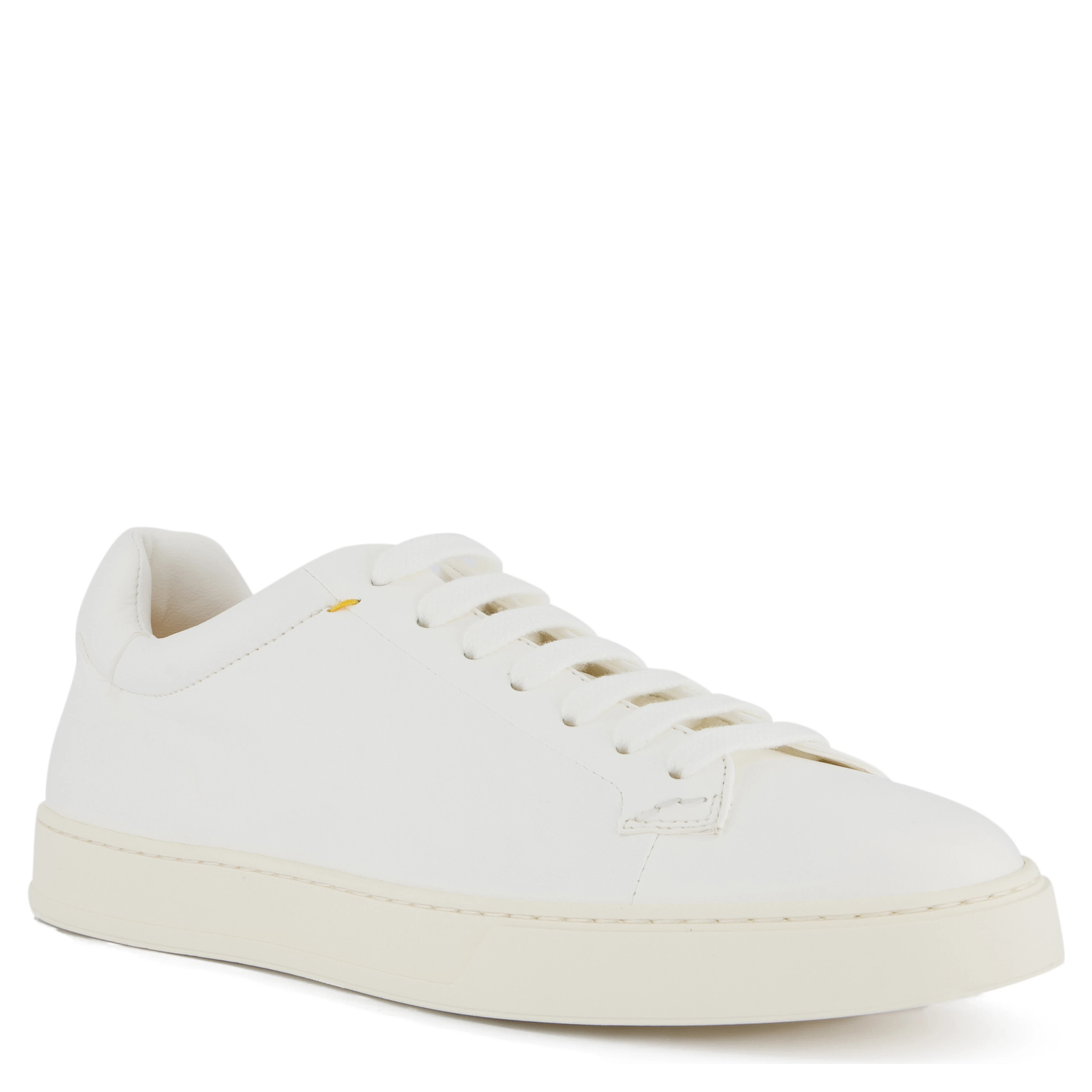 Doucal's Sneakers