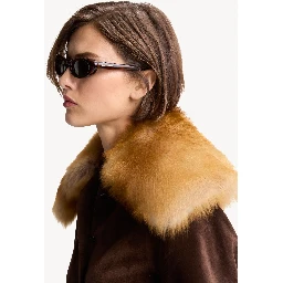 Saint Laurent Sunglasses