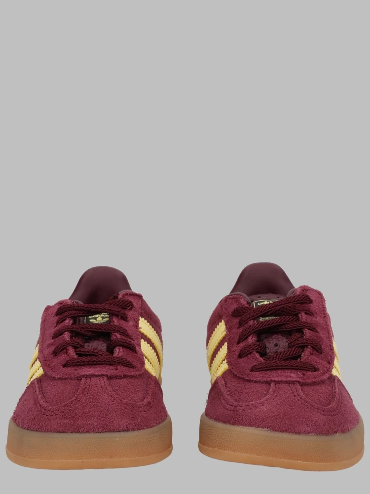 gazelle indoor