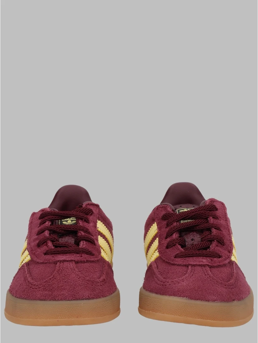 gazelle indoor