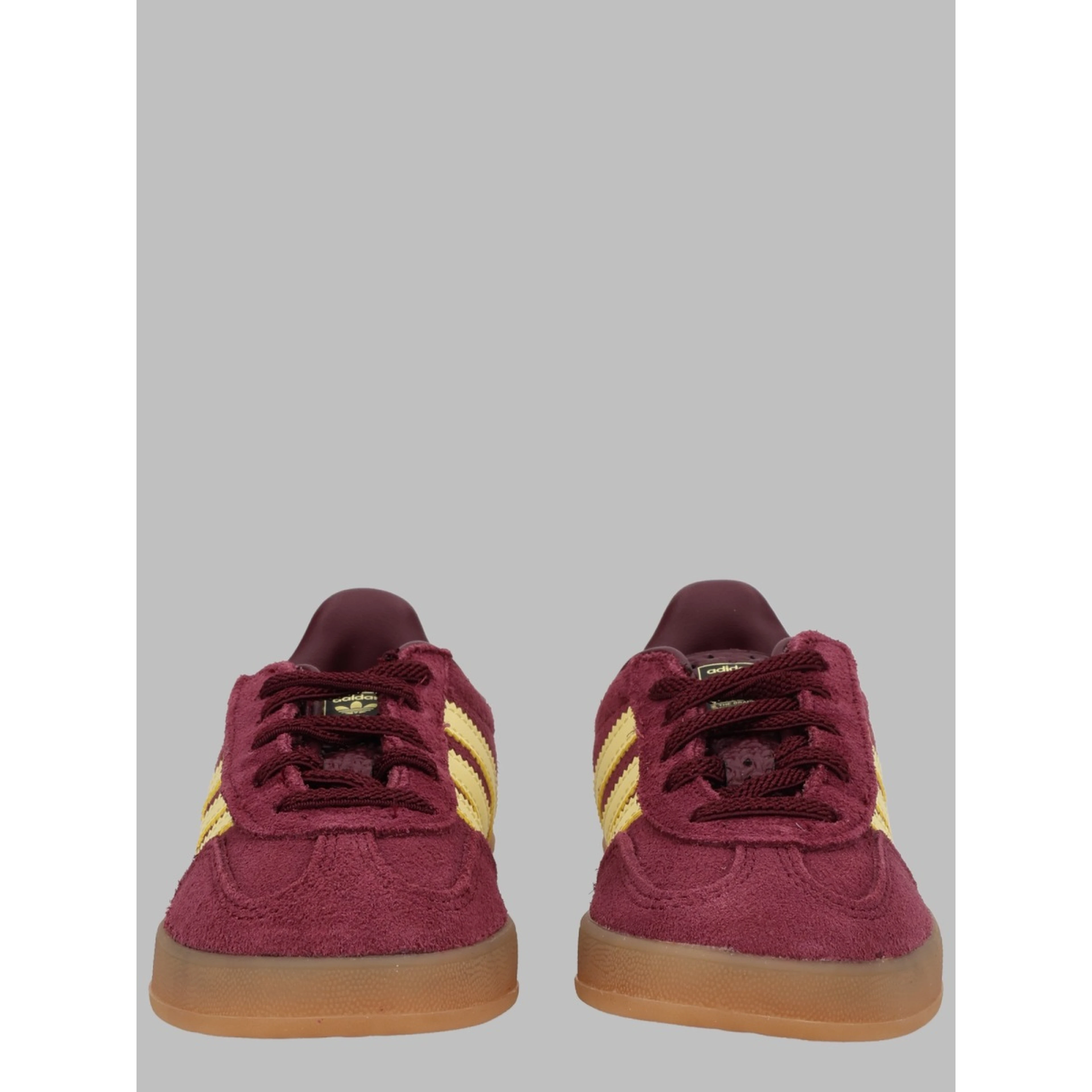 gazelle indoor