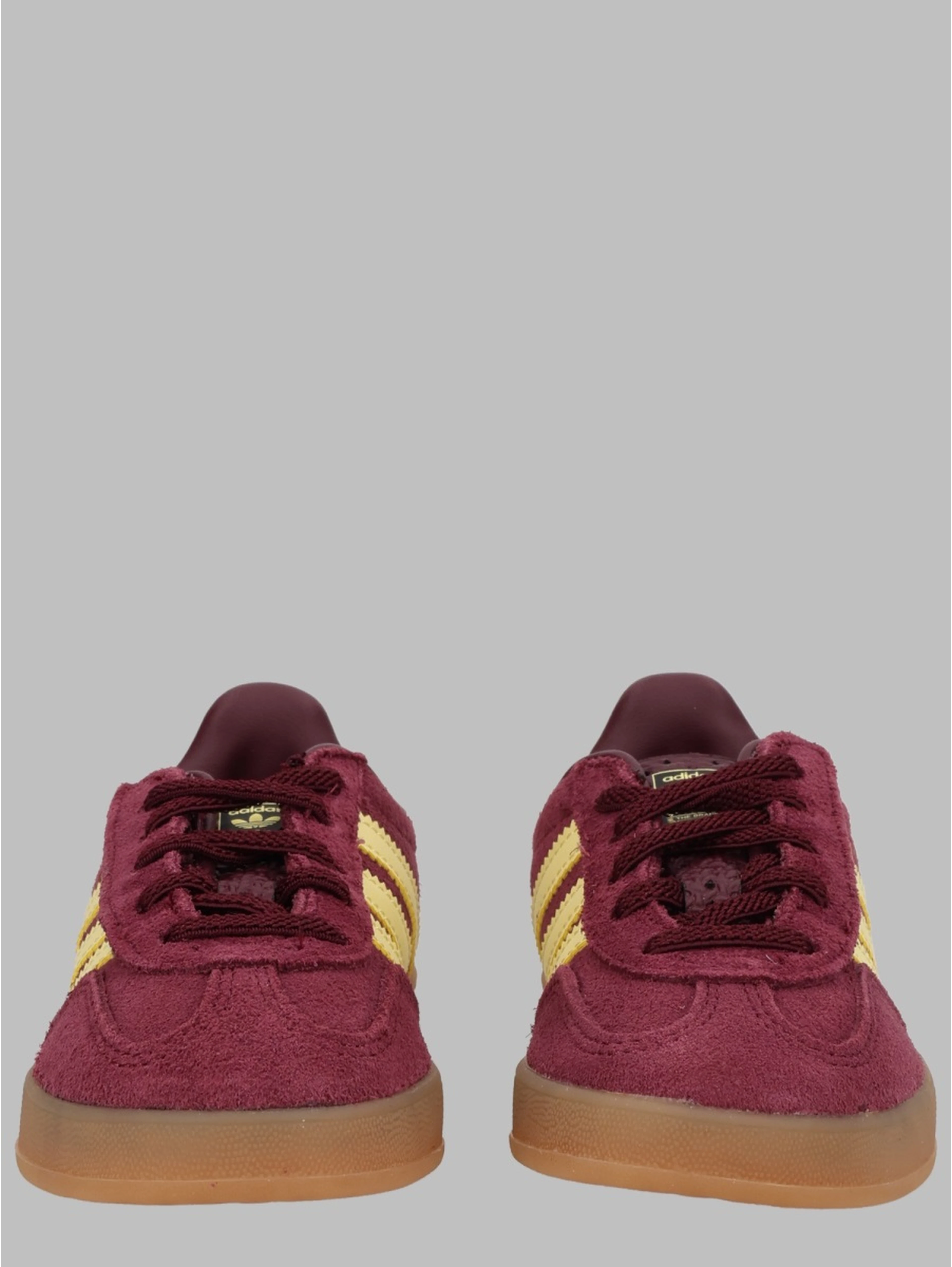 gazelle indoor