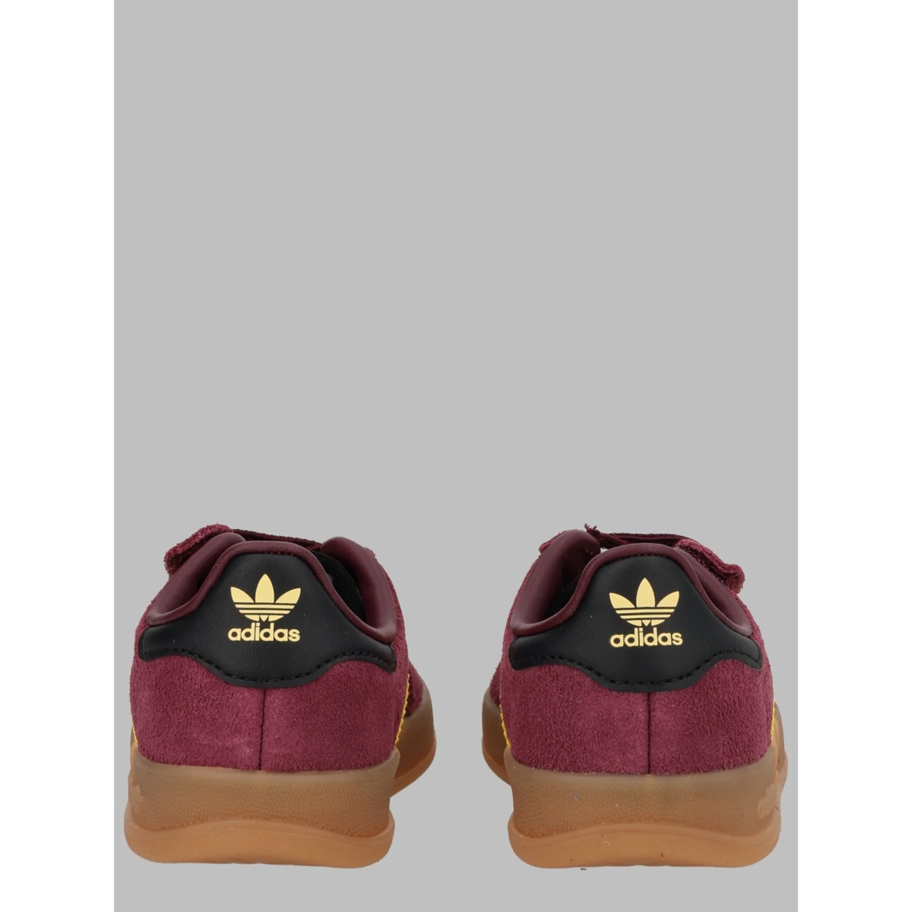 gazelle indoor