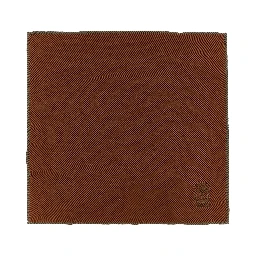 Brown Silk Scarf