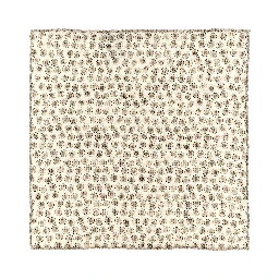 Beige Silk Foulard