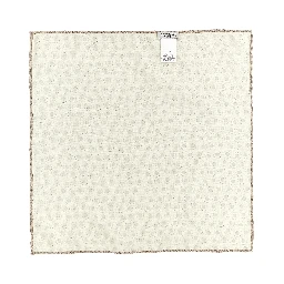 Beige Silk Foulard