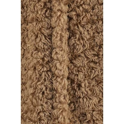 Brown Polyester Coat