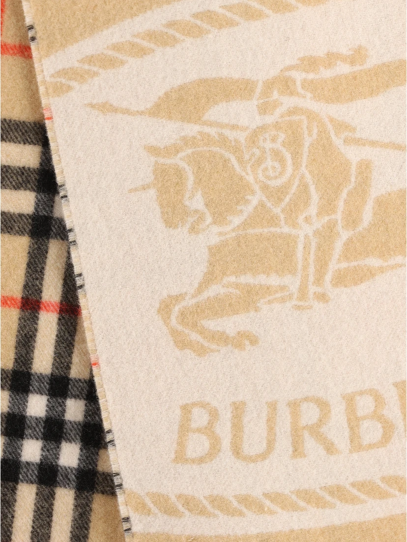 Burberry Scarfs