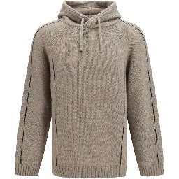 Beige Alpaca Vicugna Pacos Hoodie