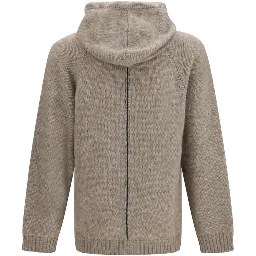 Beige Alpaca Vicugna Pacos Hoodie