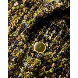 Tweed jacket