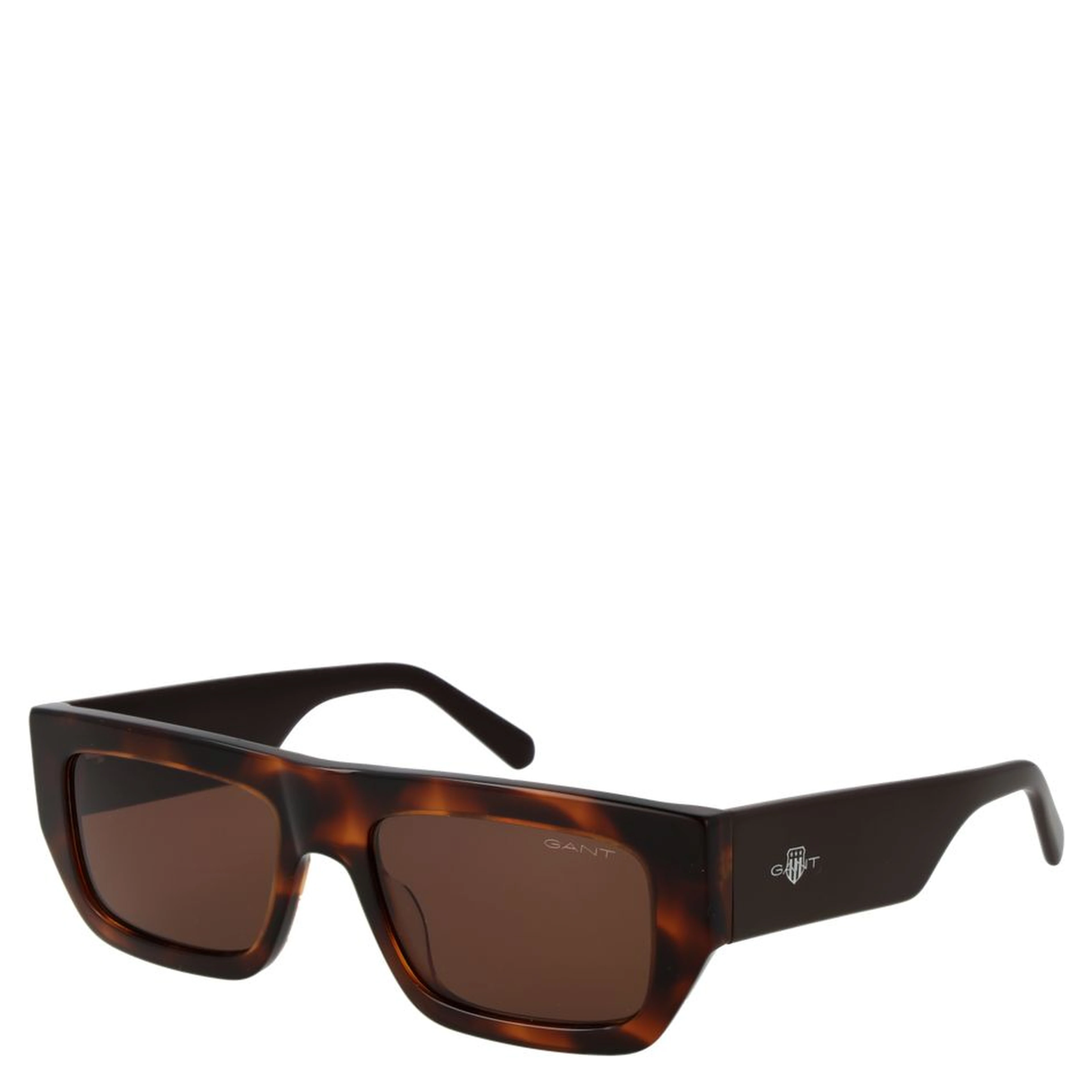 Brown Plastic Sunglasses