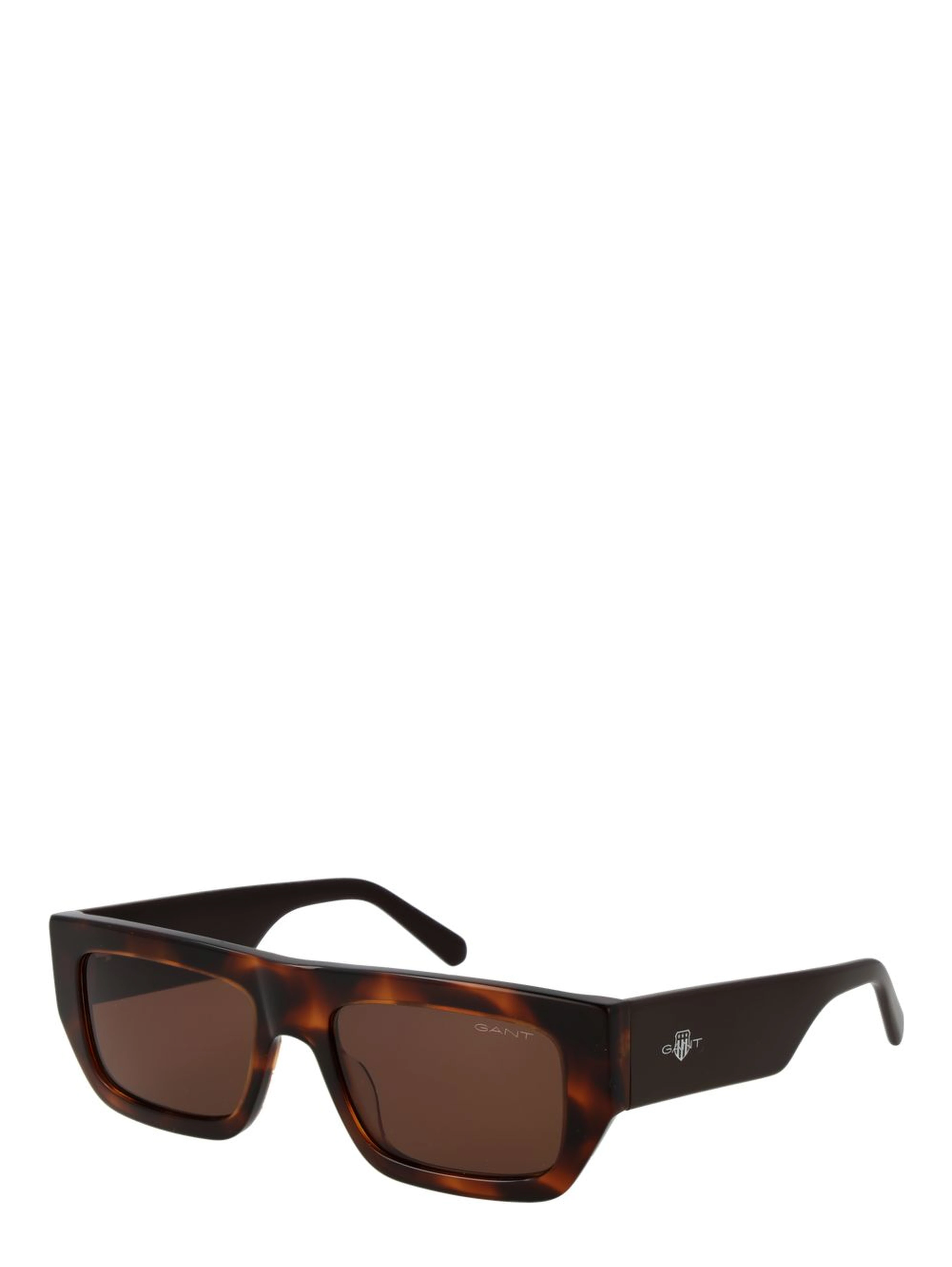 Brown Plastic Sunglasses
