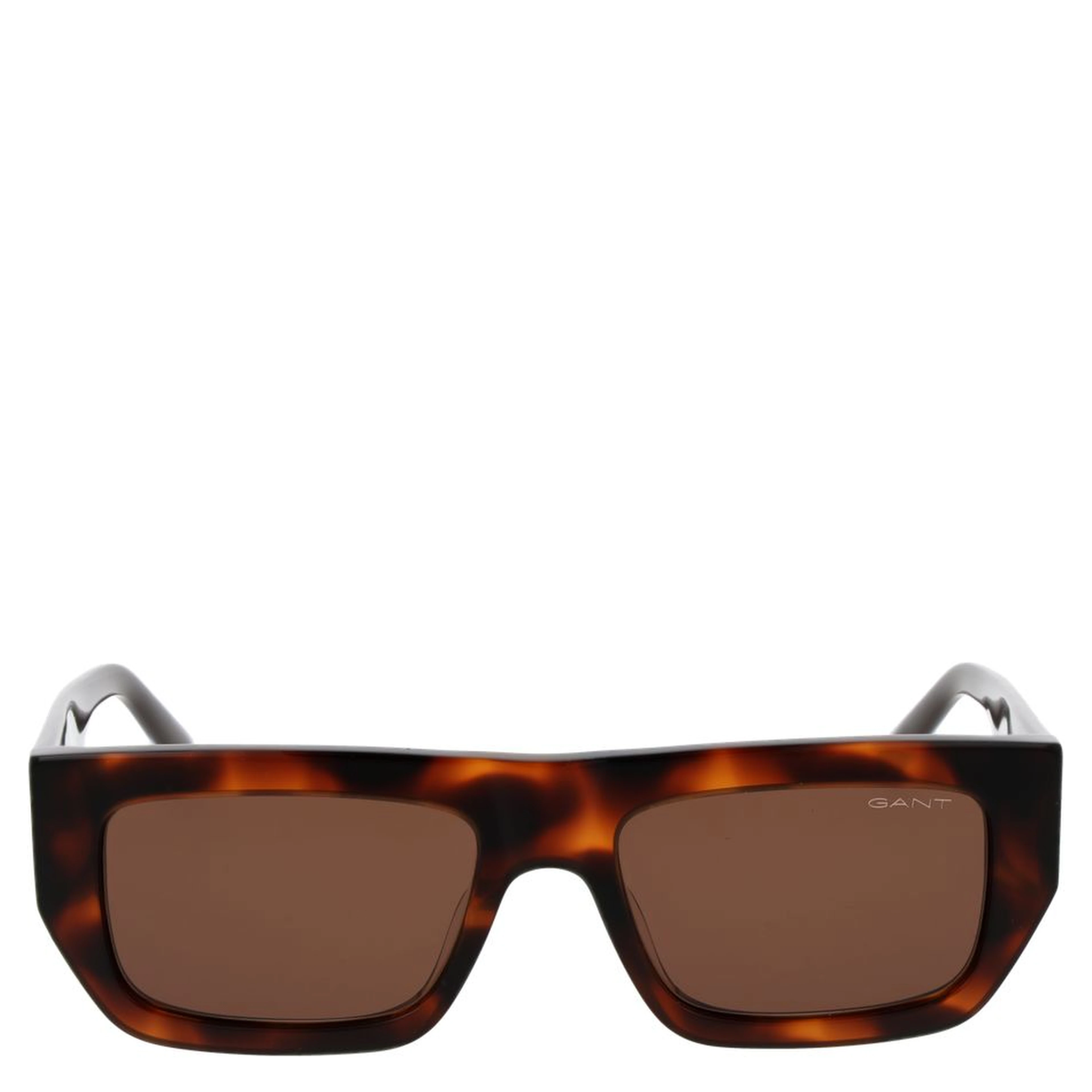 Brown Plastic Sunglasses