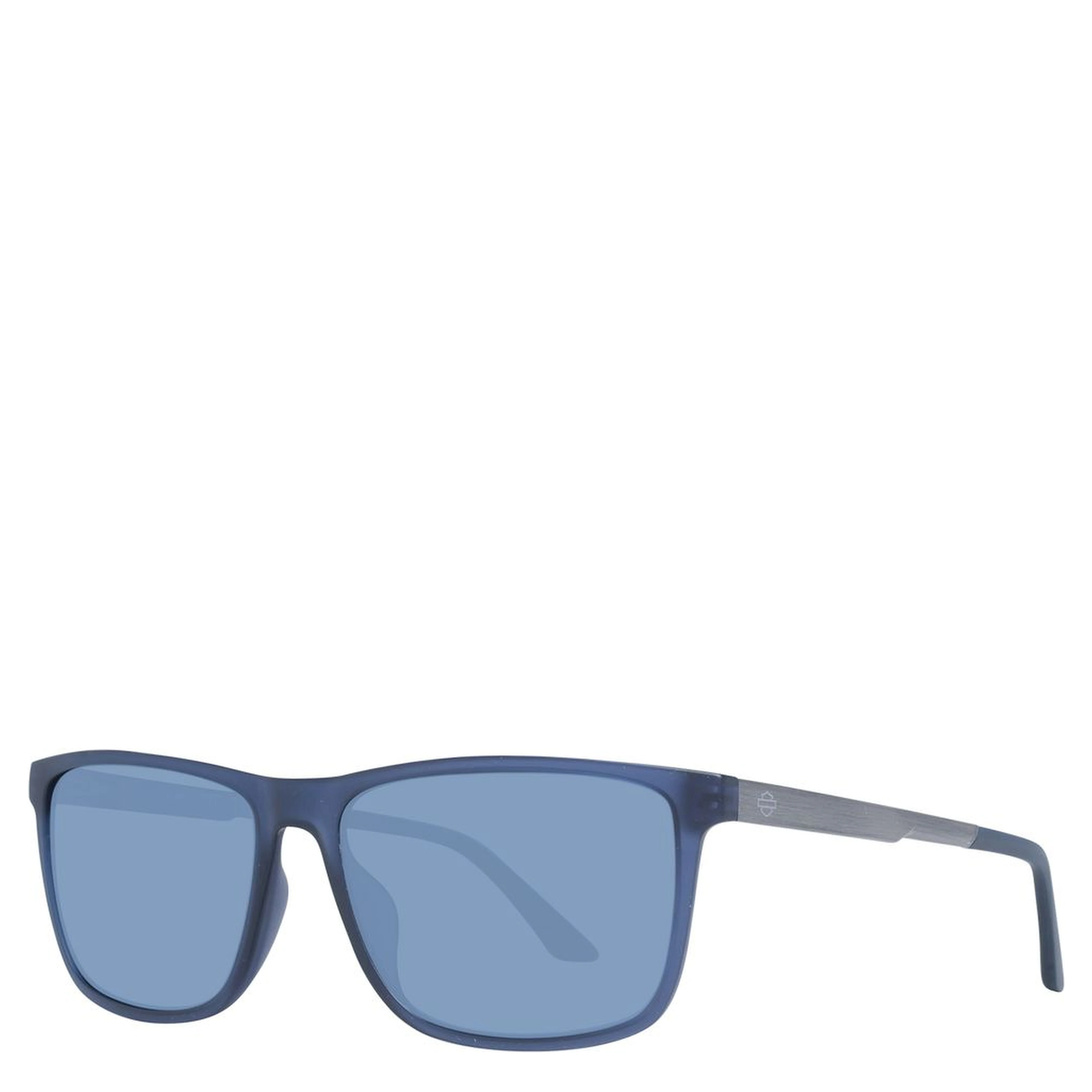 Blue Plastic Sunglasses