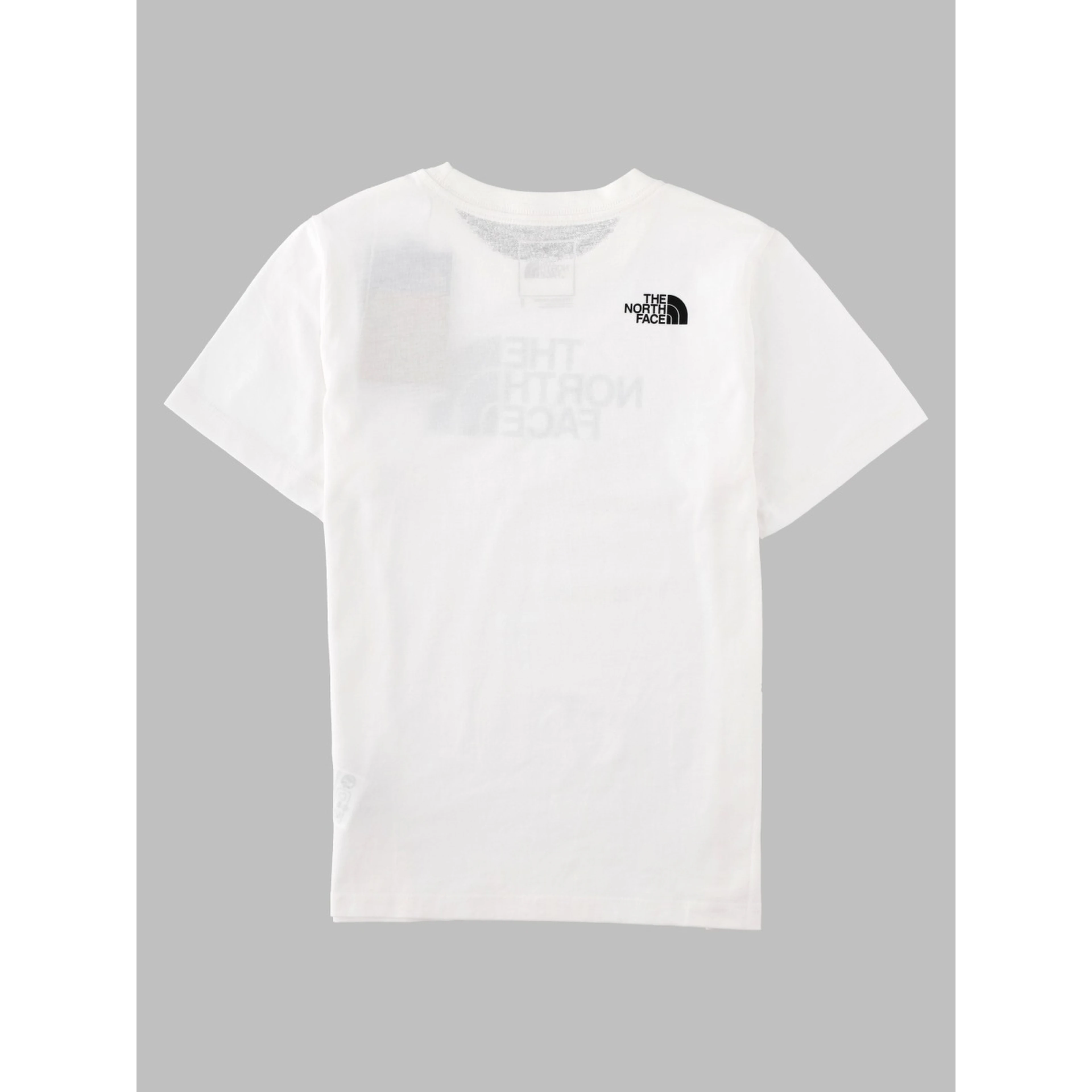 teen evolution halfdome ss tee