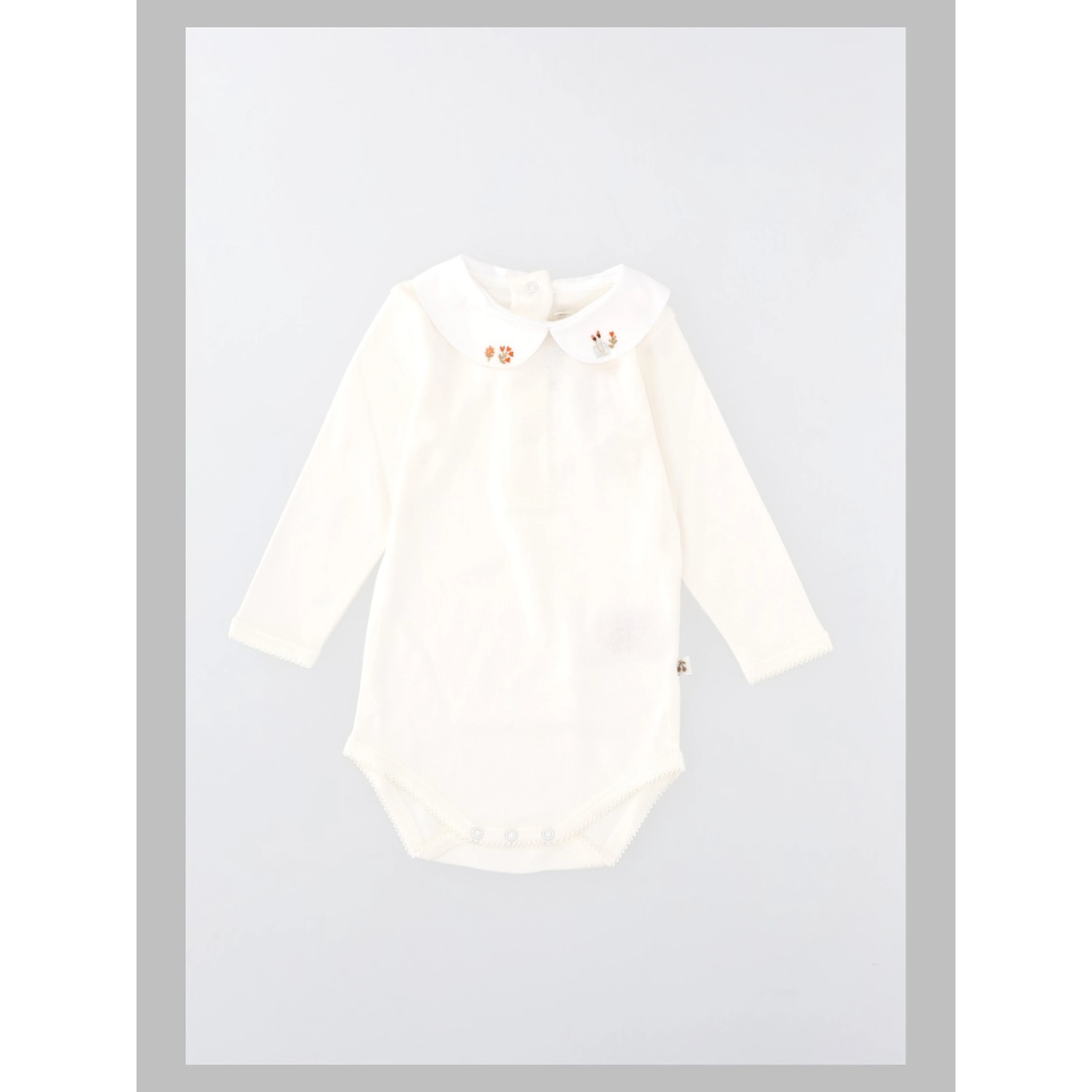 body cygne ml body