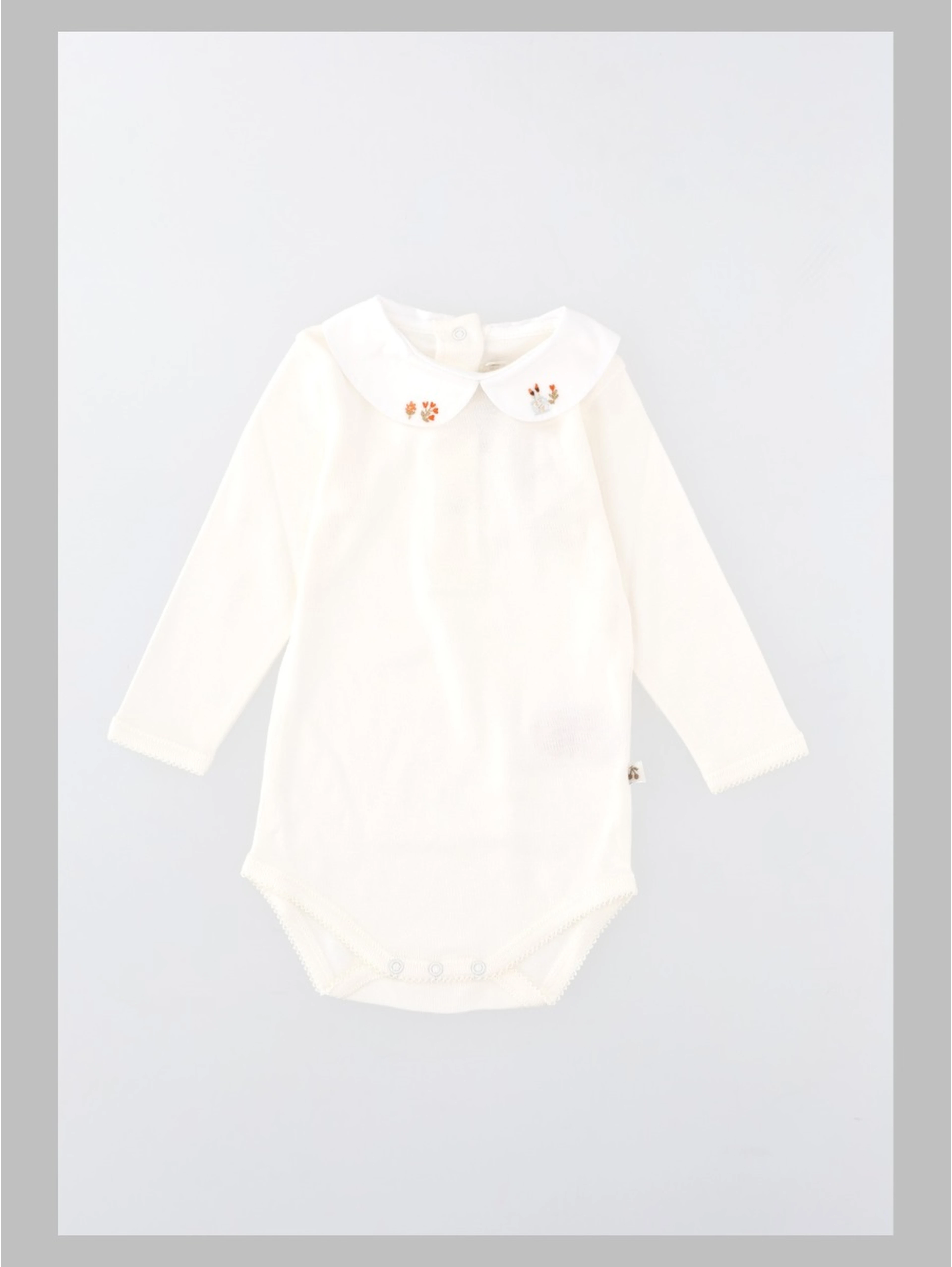 body cygne ml body