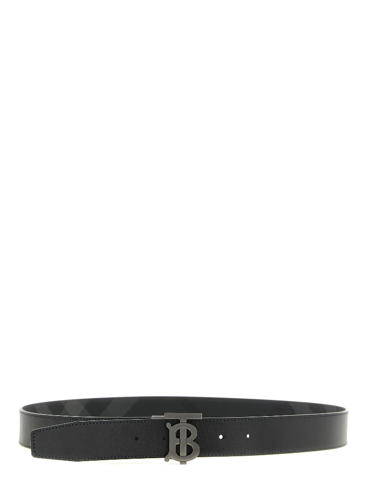 Black Polyethylene Regular Belt alternative