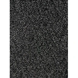 Black Polyester Scarf