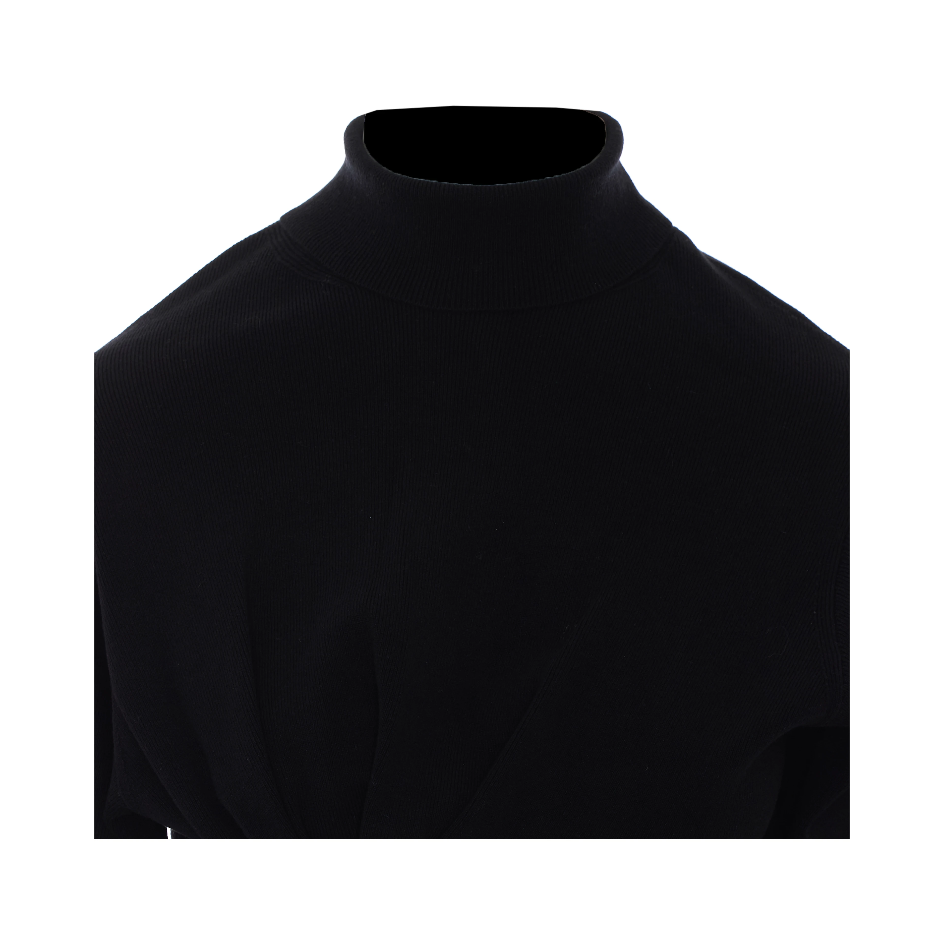 Lanvin Sweaters Black