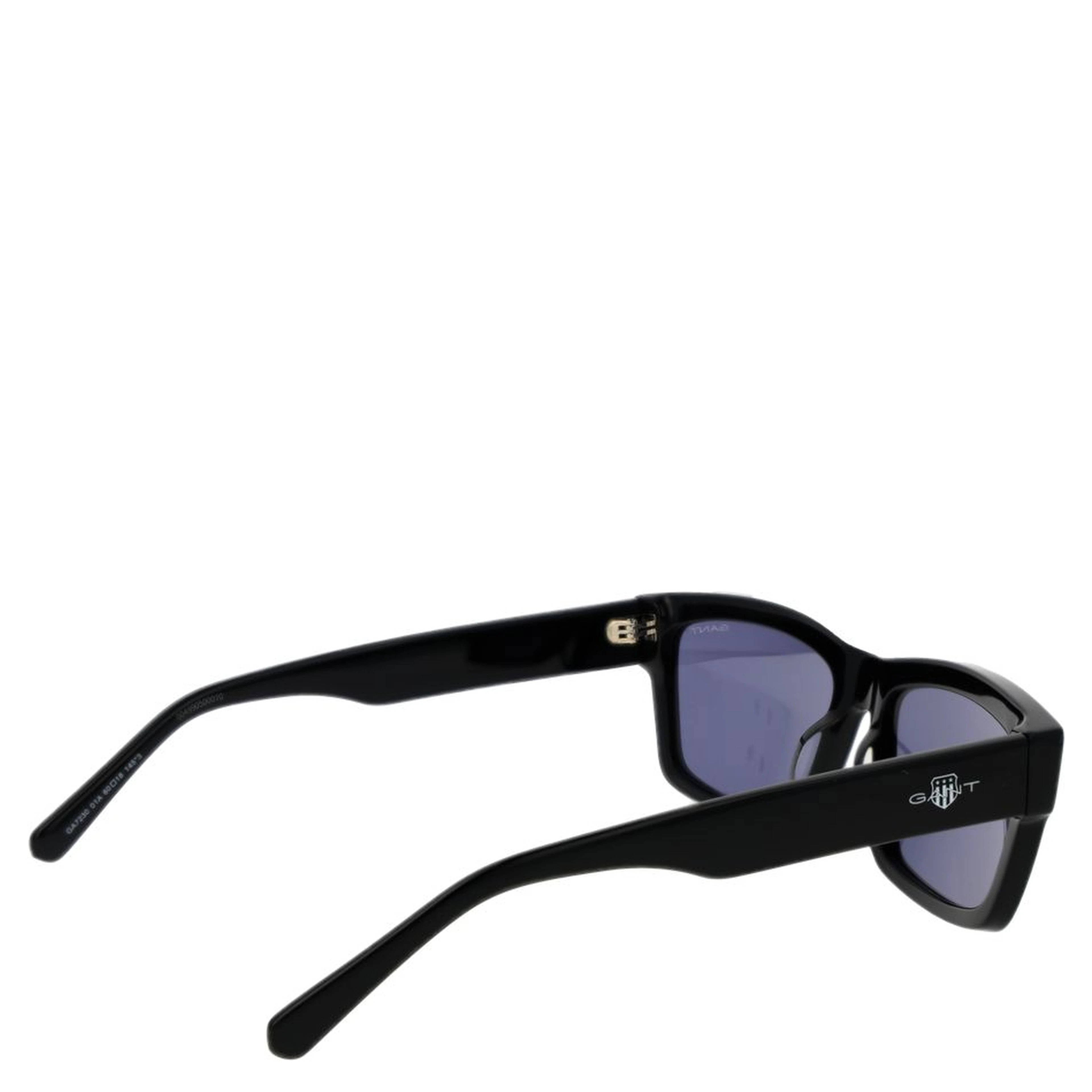Black Acetate Sunglasses