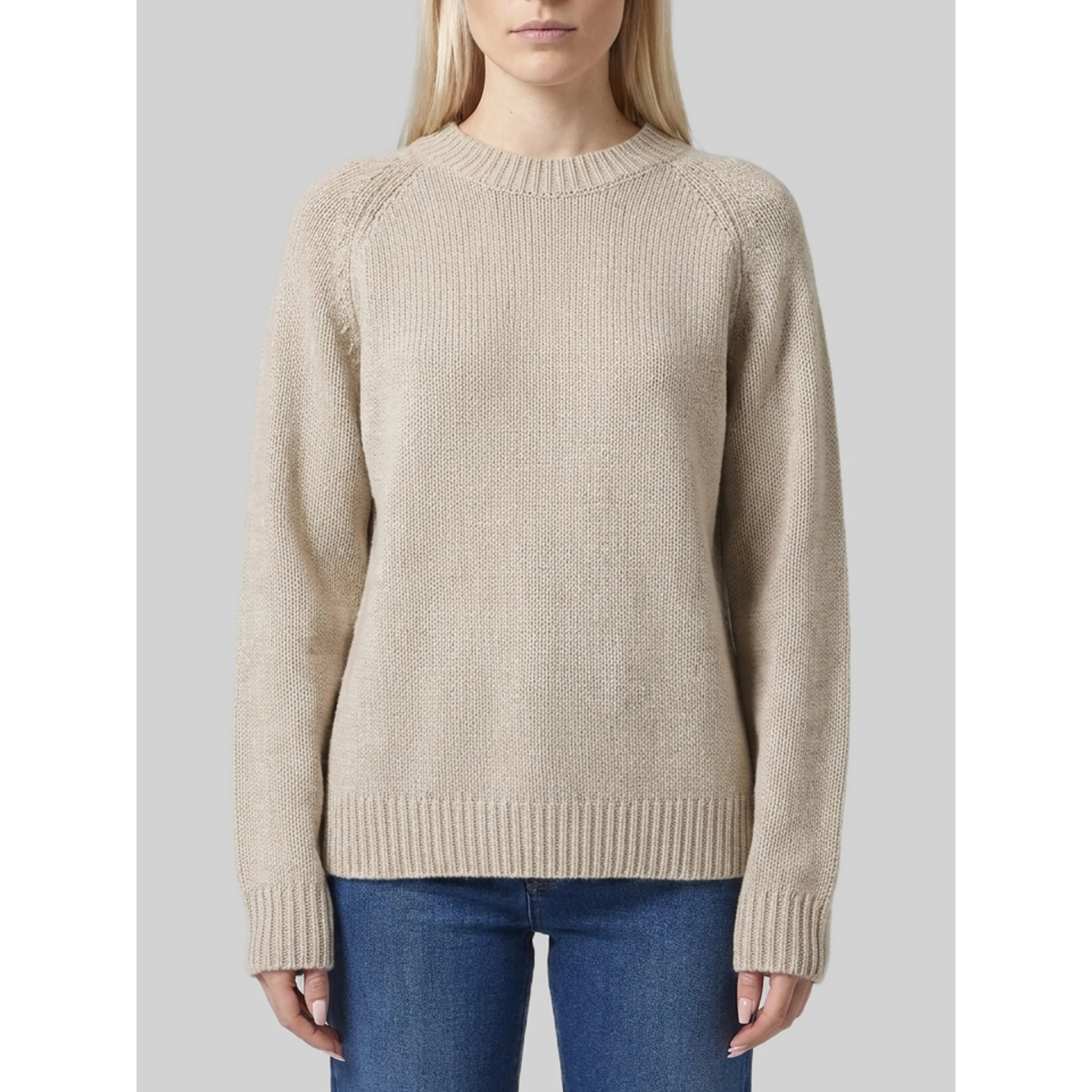 Anine crew-neck sweater