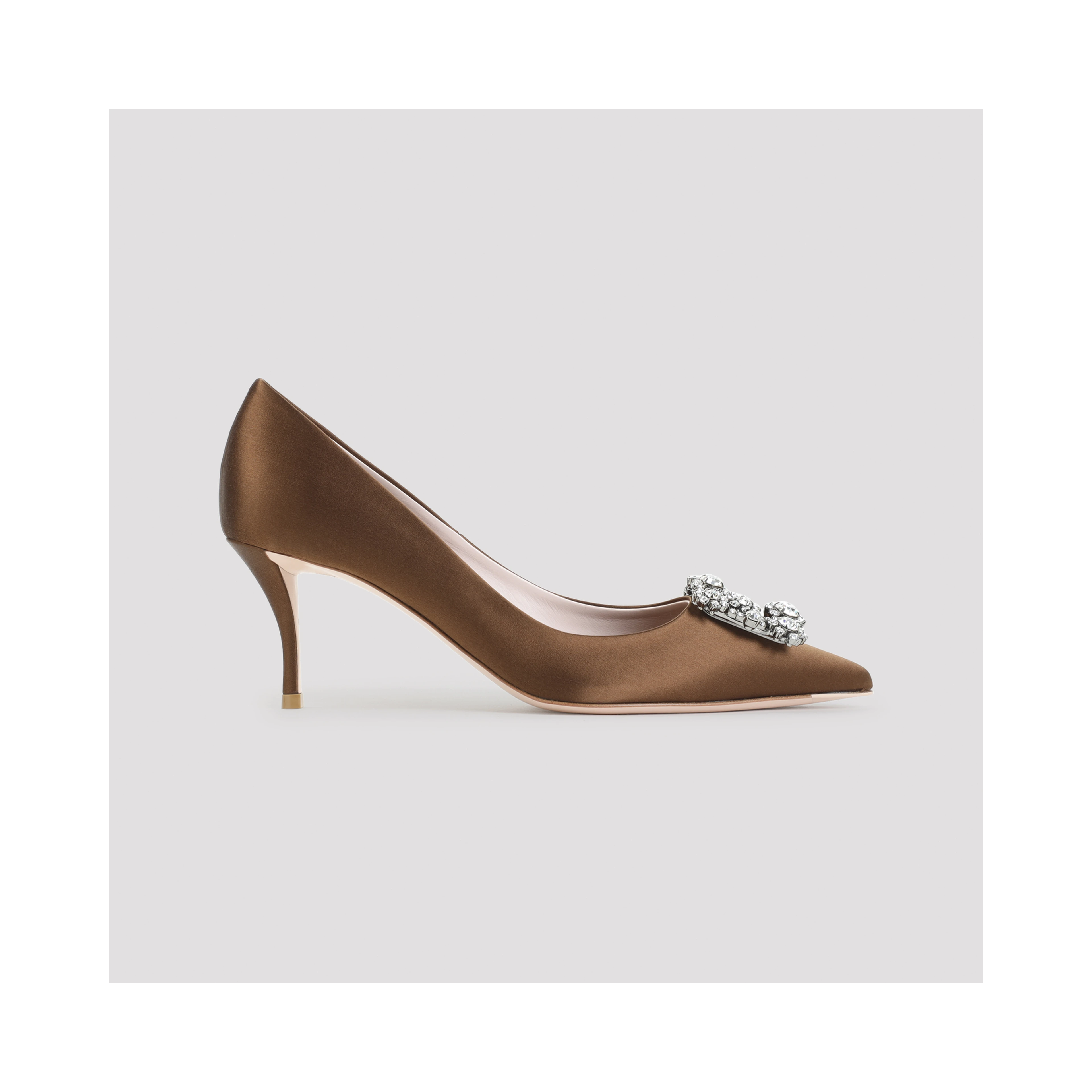 Roger Vivier Flower Strass 65 Pumps