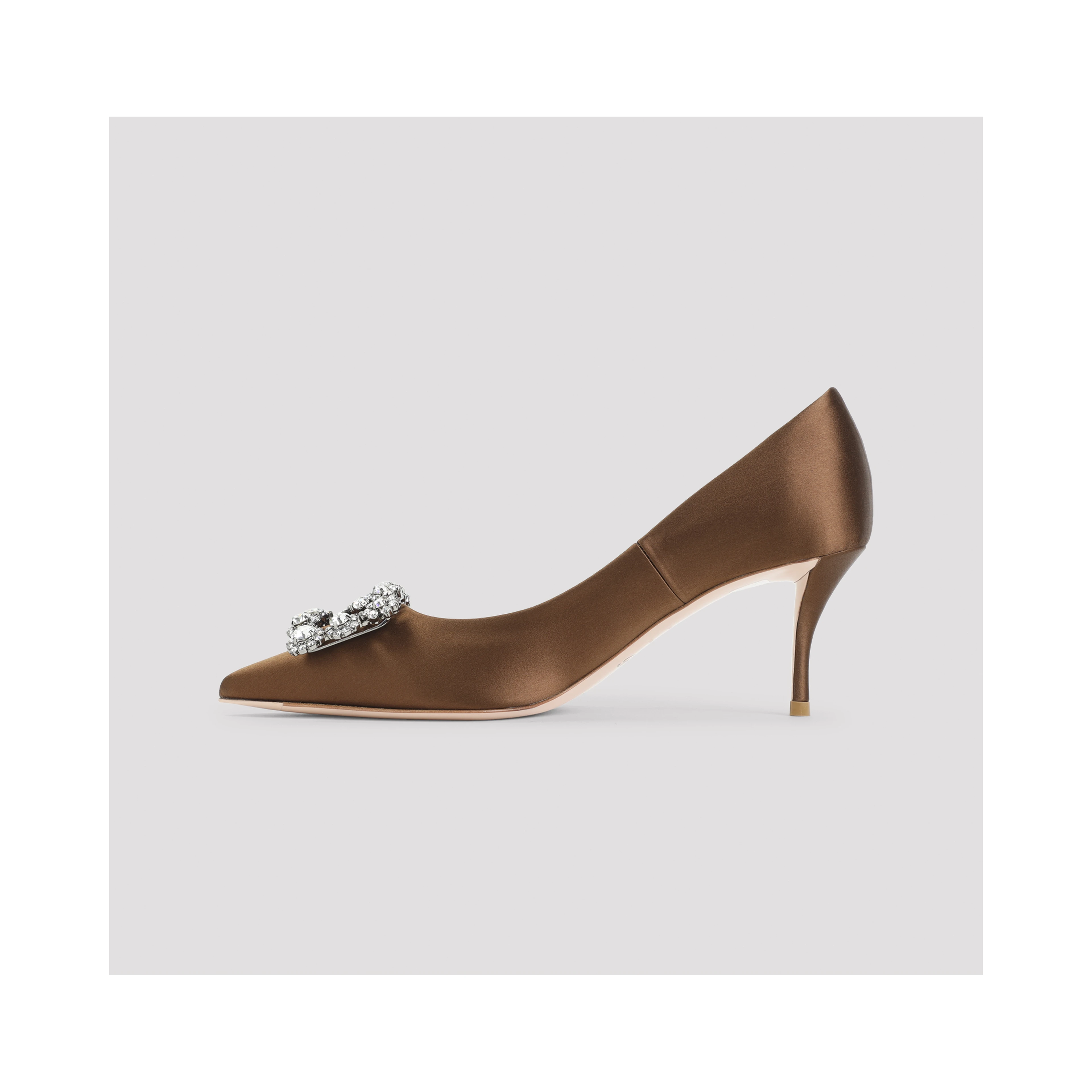 Roger Vivier Flower Strass 65 Pumps