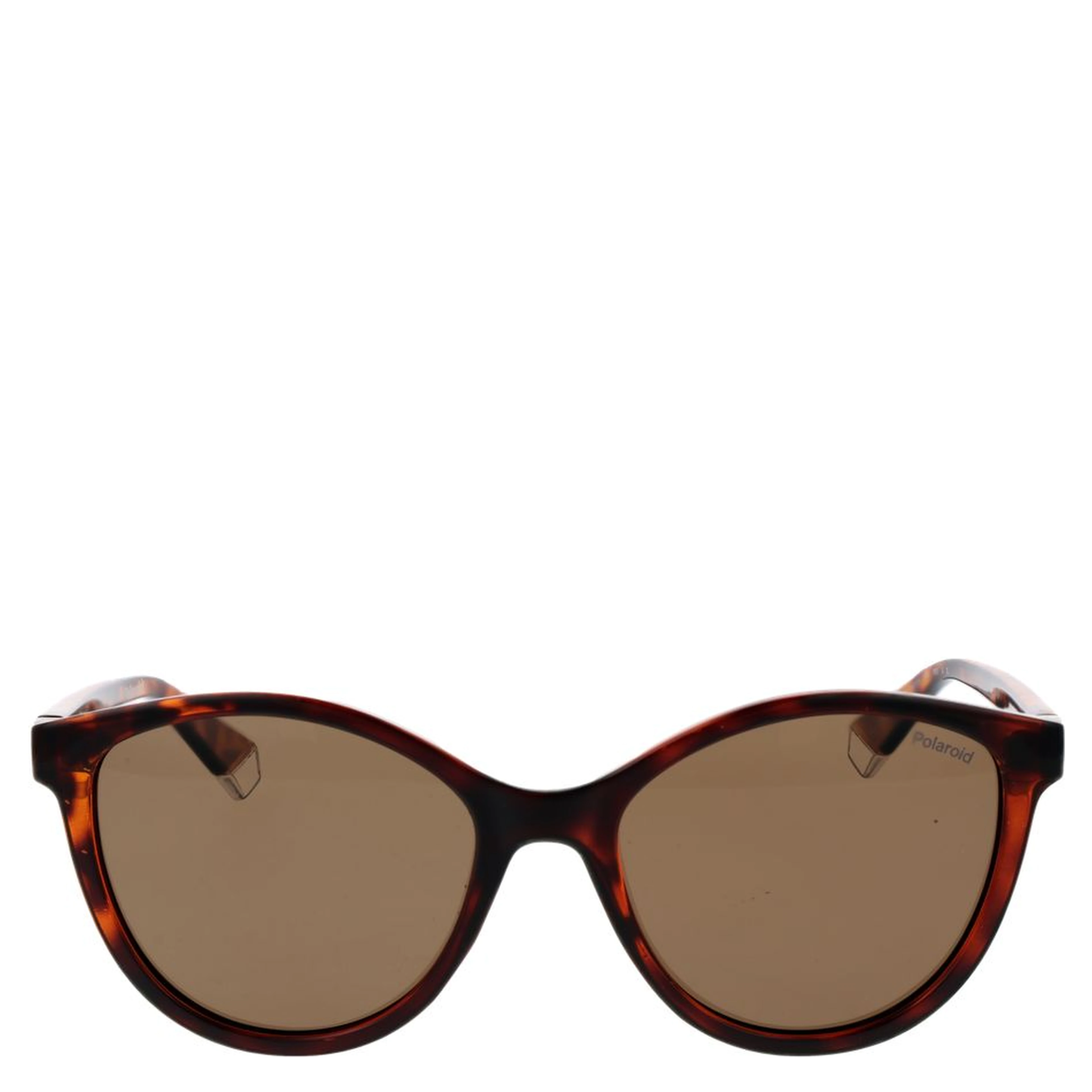 Brown Plastic Sunglasses